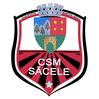 File:CSM Săcele logo.png