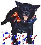 File:HCT's dog Pinky.gif