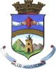 Coat of arms of Vallo della Lucania