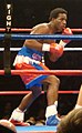 Fernando Guerrero, is a professional middleweight boxer.[66]