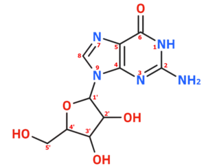 Numerita strukturo de la guanozino