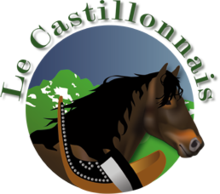 Logo représentant la tête d'un cheval bai de profil entouré d'un fond rond bleu et vert au-dessus duquel est marqué « le Castillonnais ».