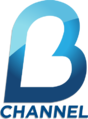 Logo terakhir B-Channel (1 Januari 2011-3 Mei 2014)