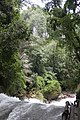 Pemandangan dari atas Air Terjun Bantimurung