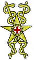 Fregio per Ufficiale Medico c/o servizio medico del 1944