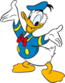 Pato-Donald seria um pato da raça Pequim-Americano.