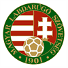 Shirt badge/Association crest