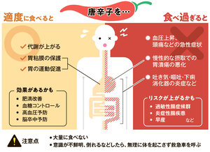 写真・図版