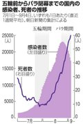 写真・図版