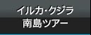 イルカ・クジラ・南島上陸ツアー