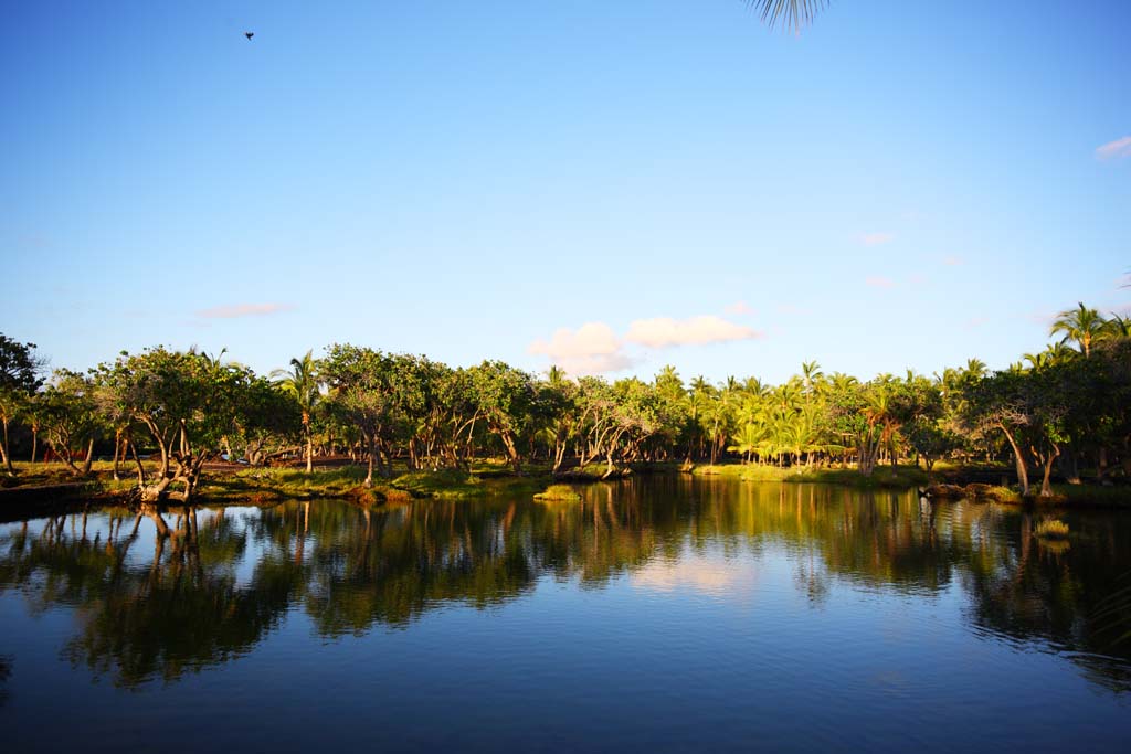 Foto, materiell, befreit, Landschaft, Bild, hat Foto auf Lager,Machtstelle MaunaLani, Lava, Ein Altar, Teich, Fischereizone