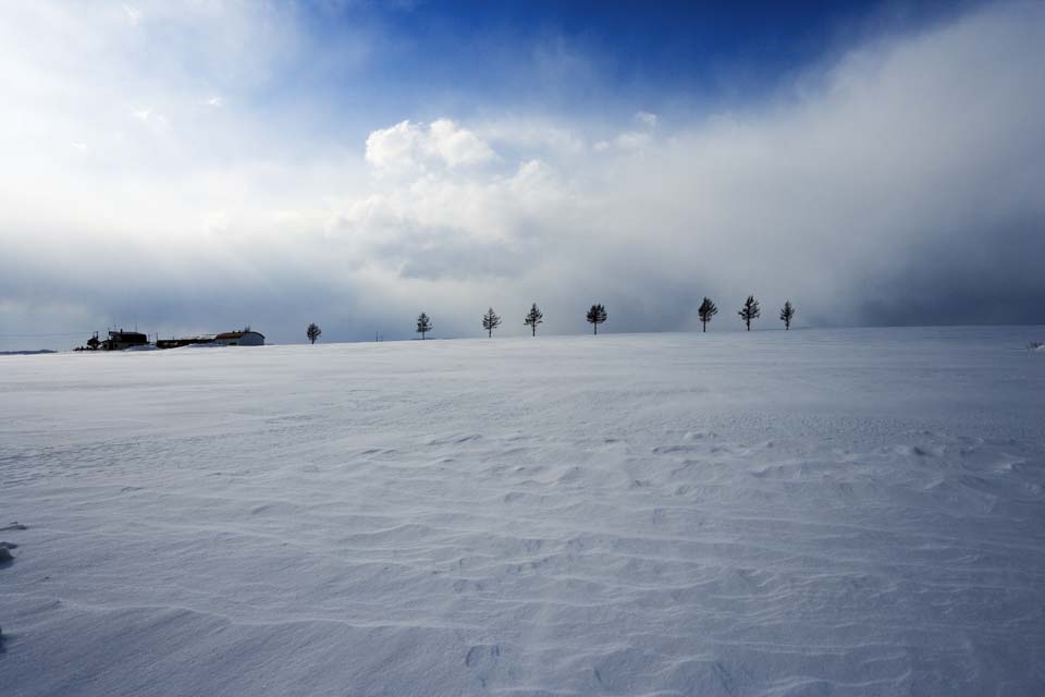 Foto, materiell, befreit, Landschaft, Bild, hat Foto auf Lager,Ein Hgel eines Mrchens, Baum, schneebedecktes Feld, blauer Himmel, Wolke