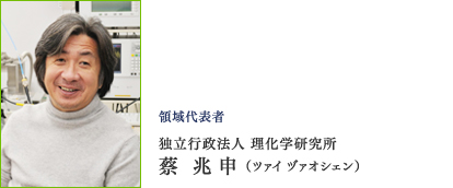 領域代表者  独立行政法人 理化学研究所  蔡 兆 申（ツァイ ヅァオシェン）