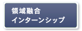 領域融合インターンシップ