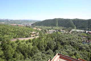 Foto, materiell, befreit, Landschaft, Bild, hat Foto auf Lager,Putuo Zongcheng-Tempel, Tibet, Chaitya, Faith, Wald