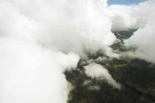 Foto, materiell, befreit, Landschaft, Bild, hat Foto auf Lager,Hawaii-Insel therische Fotografie, Wolke, Wald, grasbedeckte Ebene, 