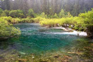 Foto, materiell, befreit, Landschaft, Bild, hat Foto auf Lager,Jiuzhaigou bonsai Nada, , , , 