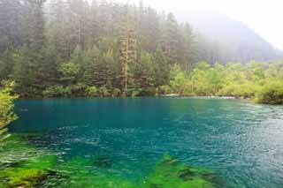 Foto, materiell, befreit, Landschaft, Bild, hat Foto auf Lager,Jiuzhaigou bonsai Nada, , , , 