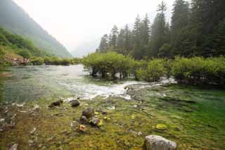 Foto, materiell, befreit, Landschaft, Bild, hat Foto auf Lager,Jiuzhaigou bonsai Nada, , , , 