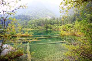 Foto, materiell, befreit, Landschaft, Bild, hat Foto auf Lager,Jiuzhaigou, , , , 