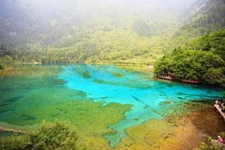 Foto, materiell, befreit, Landschaft, Bild, hat Foto auf Lager,Jiuzhaigou Gohanaumi, , , , 