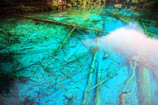 Foto, materiell, befreit, Landschaft, Bild, hat Foto auf Lager,Jiuzhaigou Gohanaumi, , , , 