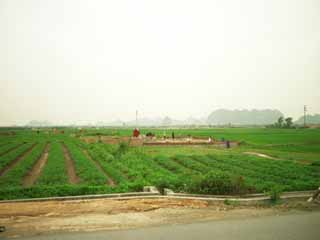 Foto, materiell, befreit, Landschaft, Bild, hat Foto auf Lager,Hanoi Vororten von Landschaft, , , , 