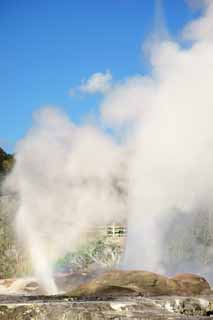 Foto, materiell, befreit, Landschaft, Bild, hat Foto auf Lager,Geysir Pohutu Geysir, , , , 