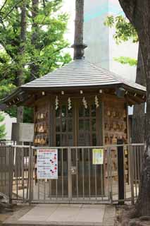 Foto, materiell, befreit, Landschaft, Bild, hat Foto auf Lager,Hatomori Hachiman Schrein shogi Hall, , , , 