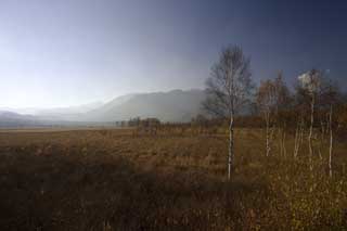 Foto, materiell, befreit, Landschaft, Bild, hat Foto auf Lager,Senjogahara in sptem Sturz, grasbedeckte Ebene, , Weie Birke, blauer Himmel