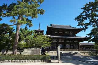 Foto, materiell, befreit, Landschaft, Bild, hat Foto auf Lager,Horyu-ji-Tempel, Buddhismus, gate baute zwischen dem Haupttor und dem Haupthaus der Palast-entworfenen Architektur in der Fujiwara-Periode, Fnf Storeyed-Pagode, Buddhistisches Bild