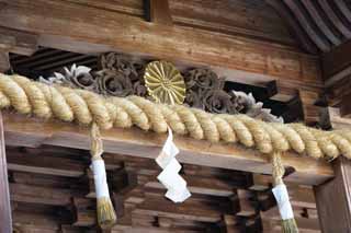 Foto, materiell, befreit, Landschaft, Bild, hat Foto auf Lager,Kompira-san Schrein-Hongu-Dekoration, Schintoistischer Schrein Buddhistischer Tempel, Chrysantheme, hlzernes Gebude, Schintoismus