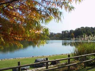 Foto, materiell, befreit, Landschaft, Bild, hat Foto auf Lager,Teich in einem frhen Herbsttag, Teich, Herbst geht, , 