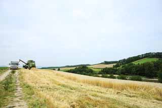 Foto, materiell, befreit, Landschaft, Bild, hat Foto auf Lager,Eine lndliche Landschaft von Biei, Feld, Eine landwirtschaftliche Maschine, Das Land, lndliche Landschaft