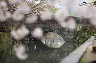 Foto, materiell, befreit, Landschaft, Bild, hat Foto auf Lager,Kurashiki Imahashi, Traditionelle Kultur, steinigen Sie Brcke, Kirschenbaum, Die Geschichte