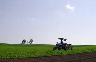 Foto, materiell, befreit, Landschaft, Bild, hat Foto auf Lager,Das Bearbeiten von Traktor, landwirtschaftliche Maschinerie, Elternteil-Kinderbaum, blauer Himmel, Traktor