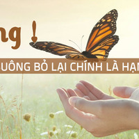 CHƠN TRÍ CƯỜNG