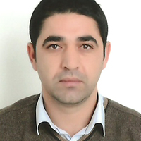 Taylan doğan