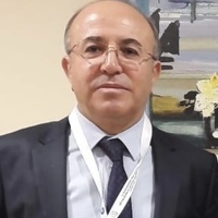 PROF. DR. İSA ÖZKAN