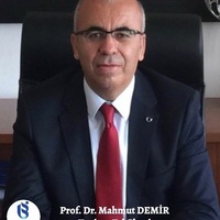 Mahmut Demir