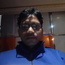 Profile image of DR. NAGENDRA K U M A R CHANDRAWANSHI