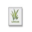 Profile image of Agriculture Journal IJOEAR