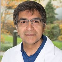 SMJ  Mortazavi, Ph.D