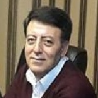 Gokhan Ozer