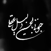 سید مصطفی