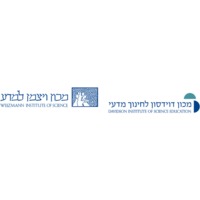 דויד סון