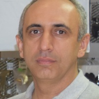 Mohammad Rezaei