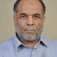 Ahmed Abdel-Ghany