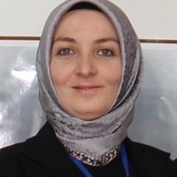 Ceylan Mollamehmetoğlu Çekici