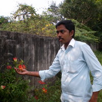 Kasi  Gopinath